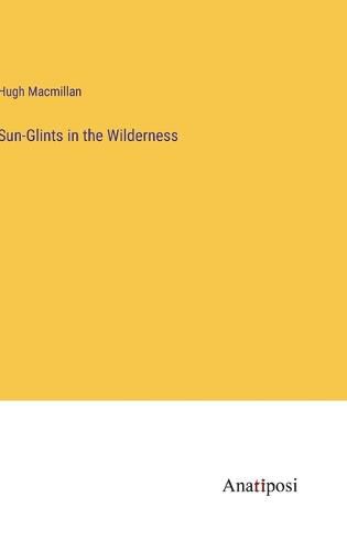 Cover image for Sun-Glints in the Wilderness