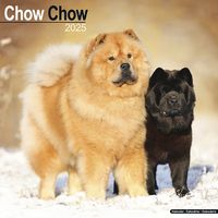 Cover image for Chow Chow Calendar 2025 Square Dog Breed Wall Calendar - 16 Month