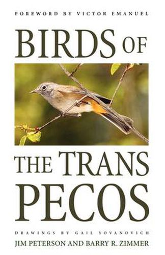 Cover image for Birds of the Trans-Pecos