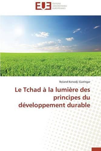 Cover image for Le Tchad   La Lumi re Des Principes Du D veloppement Durable