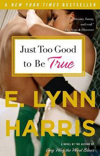 Cover image for Just Too Good to Be True: A Novel