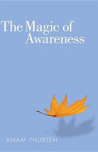 Cover image for The Magic of Awareness