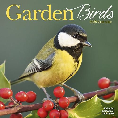 Cover image for Garden Birds Calendar 2020