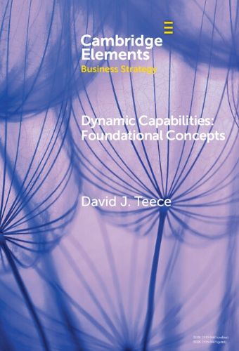 Cover image for Dynamic Capabilities