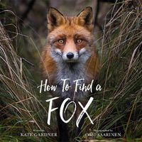 Cover image for How to Find a Fox