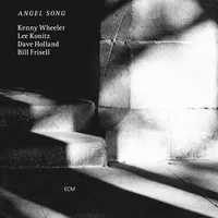 Cover image for Angel Song (Vinyl)