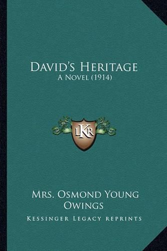 Cover image for David's Heritage: A Novel (1914)