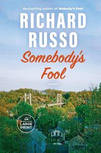 Cover image for Somebody's Fool