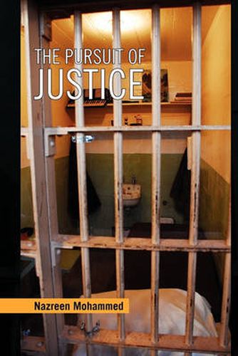 Cover image for The Pursuit of Justice