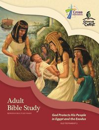 Cover image for Adult Bible Study (Ot2)