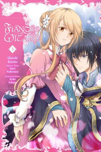 Cover image for Fiancee of the Wizard, Vol. 3