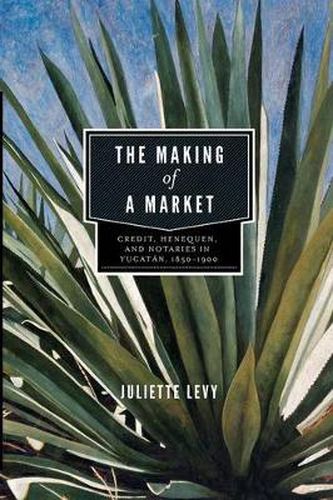 Cover image for The Making of a Market: Credit, Henequen, and Notaries in Yucatan, 1850-1900