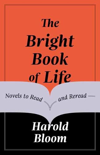 Cover image for The Bright Book of Life: Novels to Read and Reread