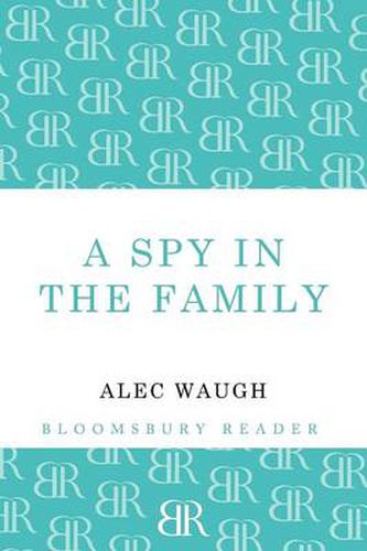 Cover image for A Spy in the Family: An Erotic Comedy