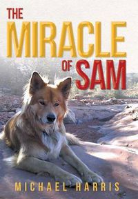 Cover image for The Miracle of Sam