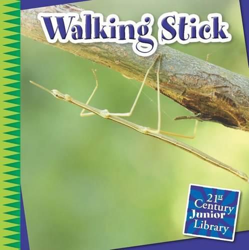 Cover image for Walking Stick