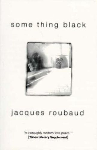 Cover image for Some Thing Black