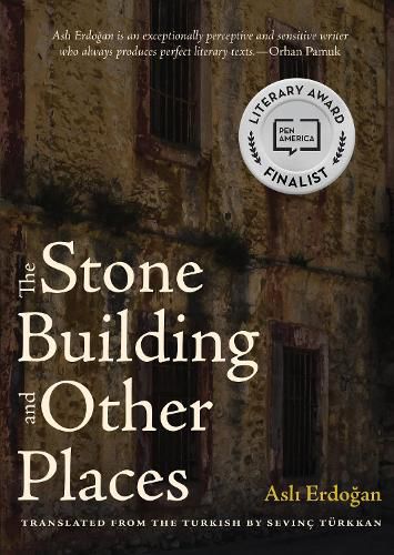 Cover image for The Stone Building and Other Places