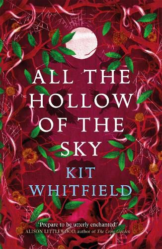 Cover image for All the Hollow of the Sky