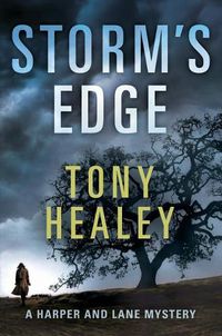 Cover image for Storm's Edge