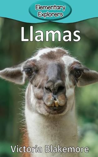 Llamas