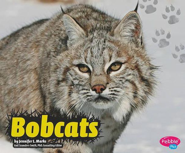 Cover image for Bobcats