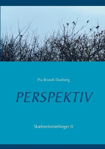 Cover image for Perspektiv: Skaebnefortaellinger II