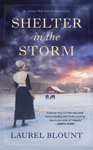 Cover image for Shelter In The Storm