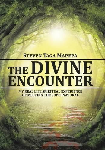 Cover image for The Divine Encounter: My Real Life Spiritual Experience of Meeting the Supernatural