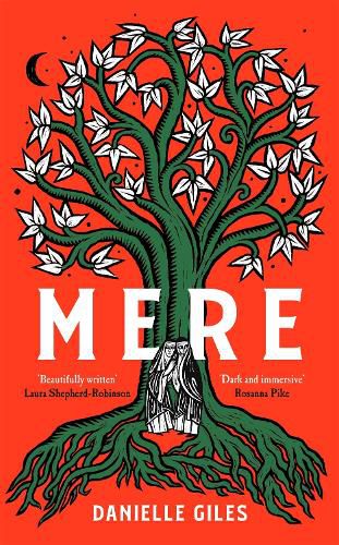 Cover image for Mere