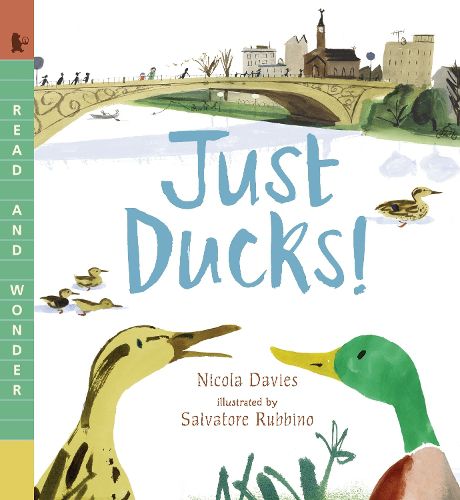Cover image for Just Ducks!