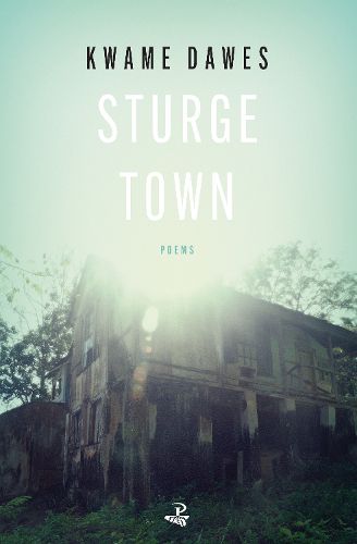 Cover image for Sturge Town
