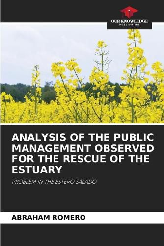 Analysis of the Public Management Observed for the Rescue of the Estuary