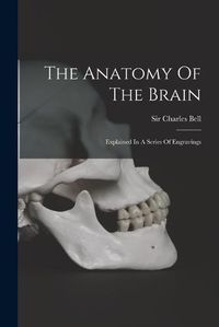 Cover image for The Anatomy Of The Brain