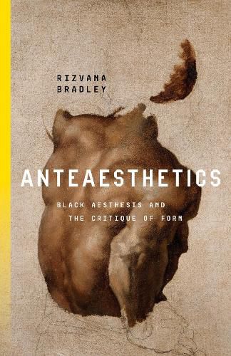 Cover image for Anteaesthetics