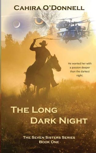 Cover image for The Long Dark Night