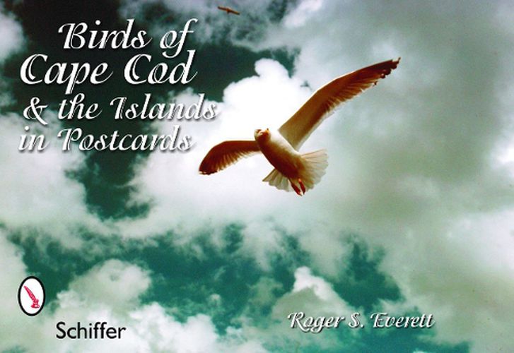 Cover image for Birds of Cape Cod & the Islands in Postcards