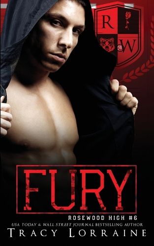 Cover image for Fury