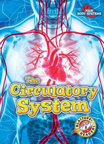 The Circulatory System