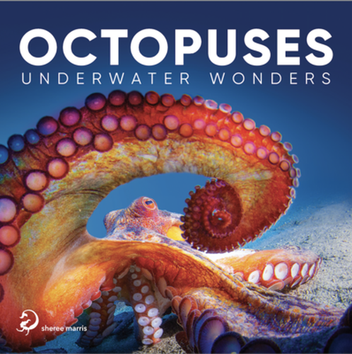 Cover image for Octopuses - Underwater Wonders