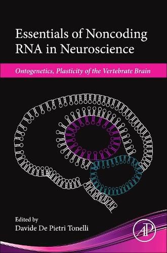 Cover image for Essentials of Noncoding RNA in Neuroscience: Ontogenetics, Plasticity of the Vertebrate Brain