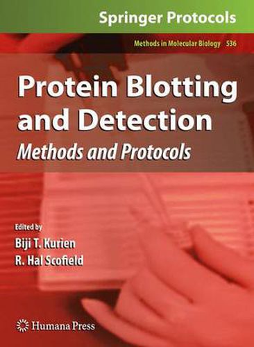 Cover image for Protein Blotting and Detection: Methods and Protocols