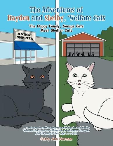 Cover image for The Adventures of Hayden and Shelby, 'Welfare Cats