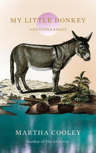 Cover image for My Little Donkey