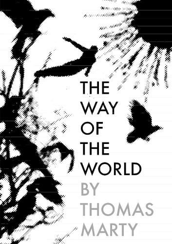 Cover image for The Way of the World
