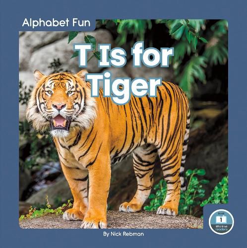 Cover image for Alphabet Fun: T is for Tiger