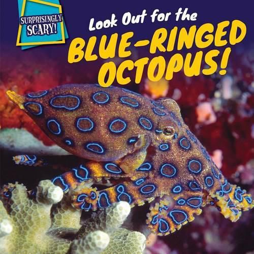 Cover image for Look Out for the Blue-Ringed Octopus!