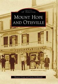 Cover image for Mount Hope and Otisville