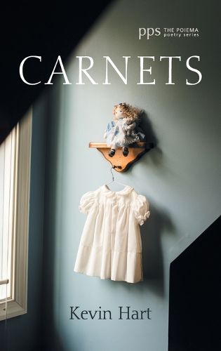 Cover image for Carnets