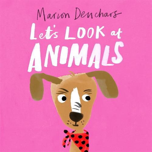 Let's Look at... Animals: Board Book